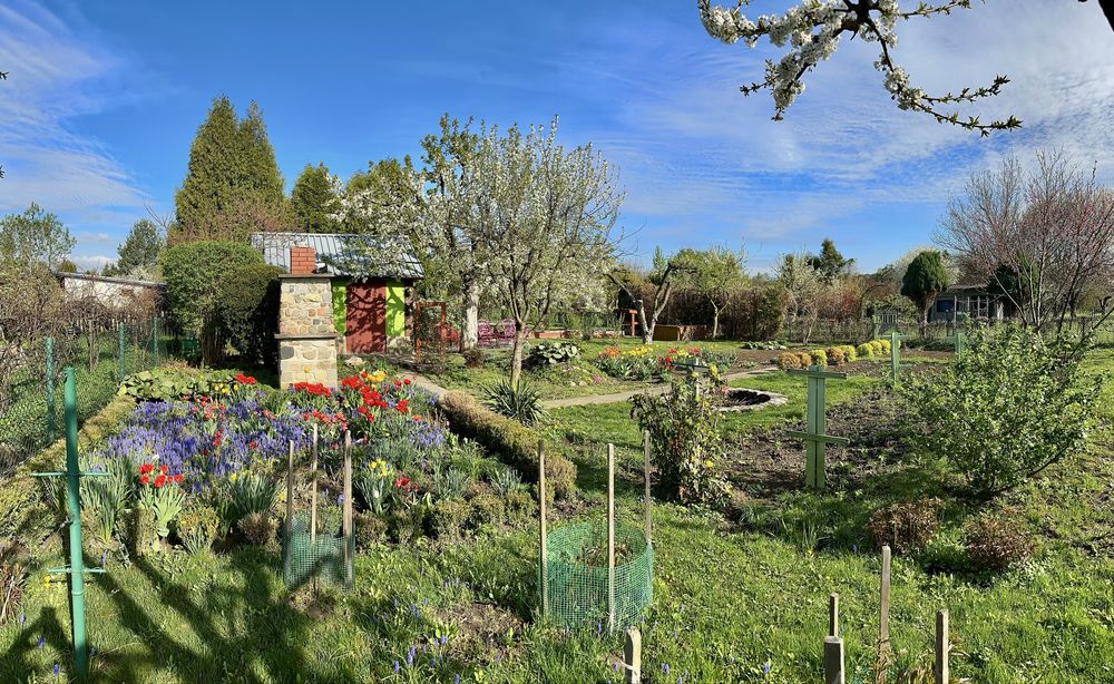 Malownicza działka ROD, duża powierzchnia.Mozliwość zakupu jednej.