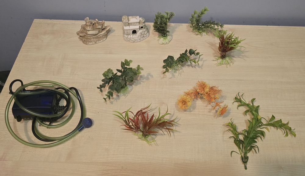 Roślinki,  filtr do akwarium