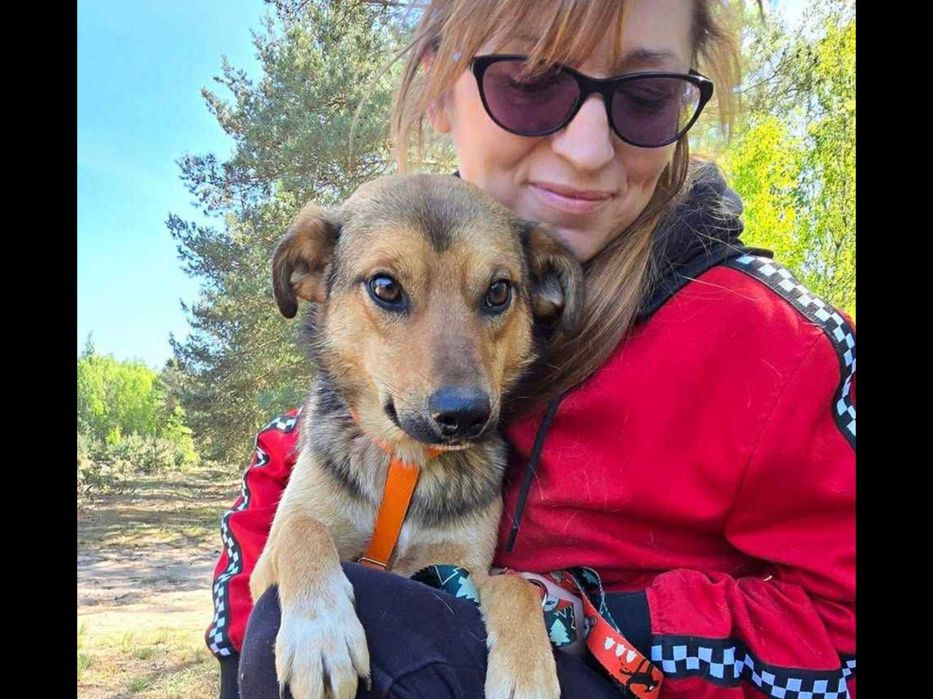 Wystraszony biedaczek ,błaga o dom.