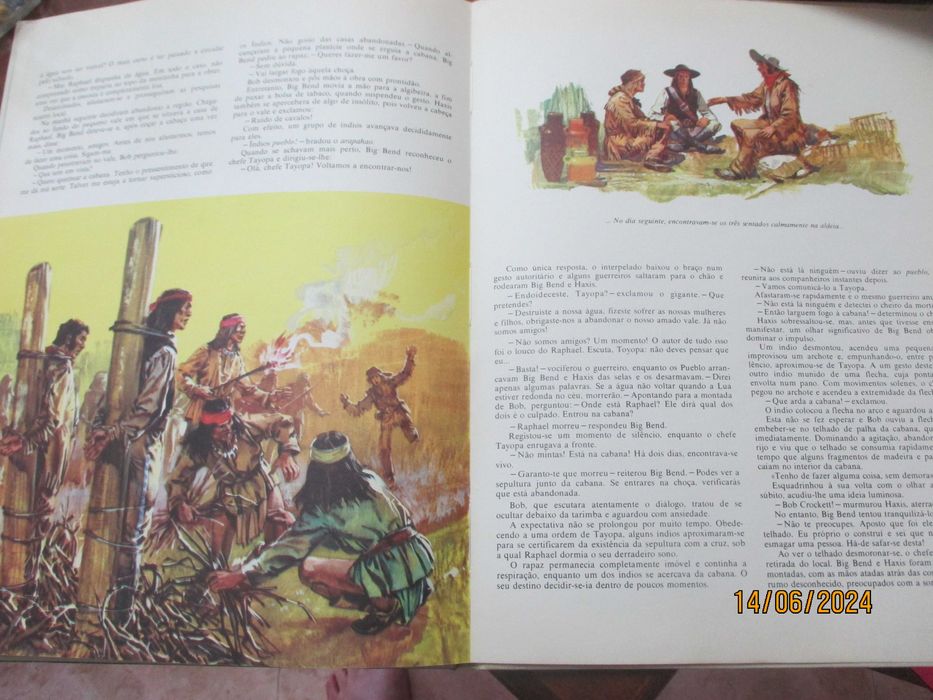 Livro - O filho de David Crockett