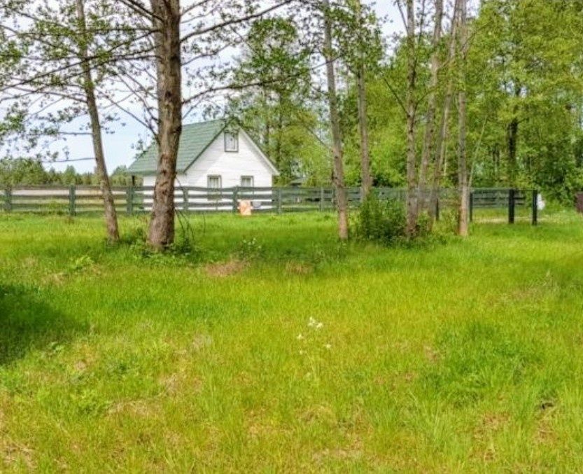 Działki - Pilchy  Budowlane Mazury Sprzedam - Zamienię Jezioro Roś w Pilchy - Widok 5