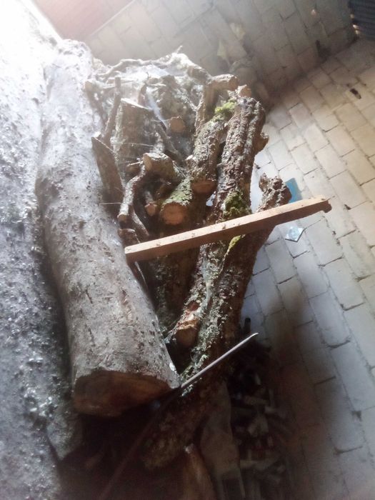 Sobreiro para madeira, moveis rústicos
