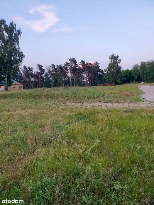 Sprzedam działkę w Starych Skoszewach - Widok 5