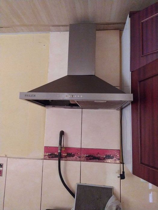 Будинок с.Червонокам'яне, 25км від Дніпра, Велика зем.ділянка.ВЛАСНИЦЯ