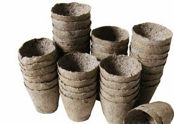 Торфяні стаканчики 80х80