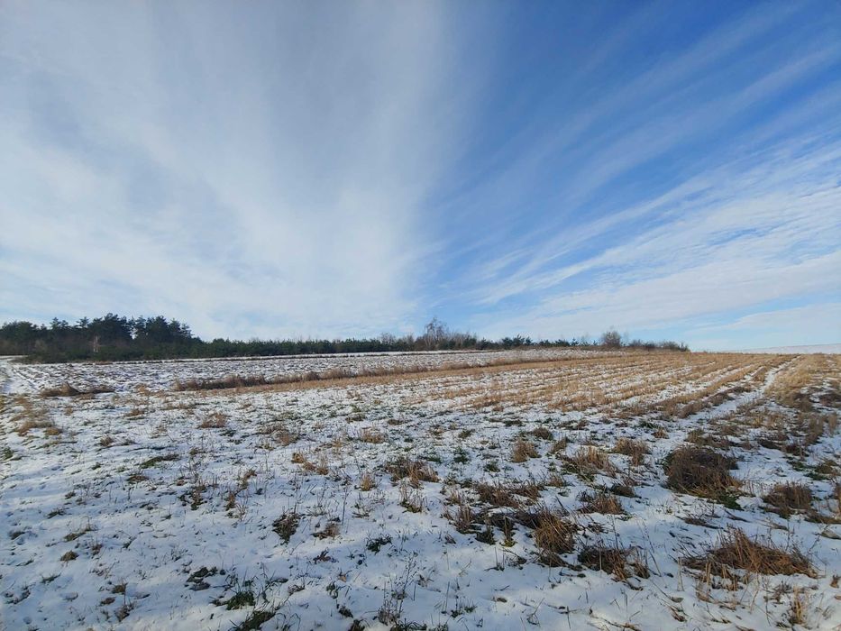 ДІЛЯНКА від ОЛЕКСАНДРА! ЗНИЖЕНА ЦІНА!!! Глинськ під забудову,33 сот.