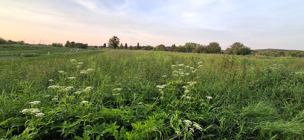 Продаж 12соток землі,Львів