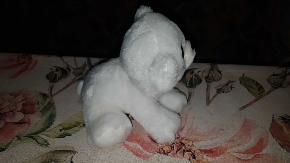 TY Beanie Boos глазастики, полярный мишка, белый медведь ARI 15 см