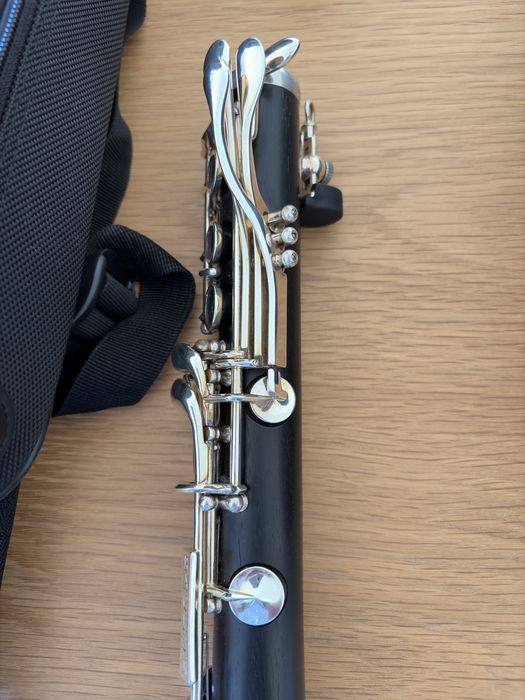 Clarinete Backun protege
