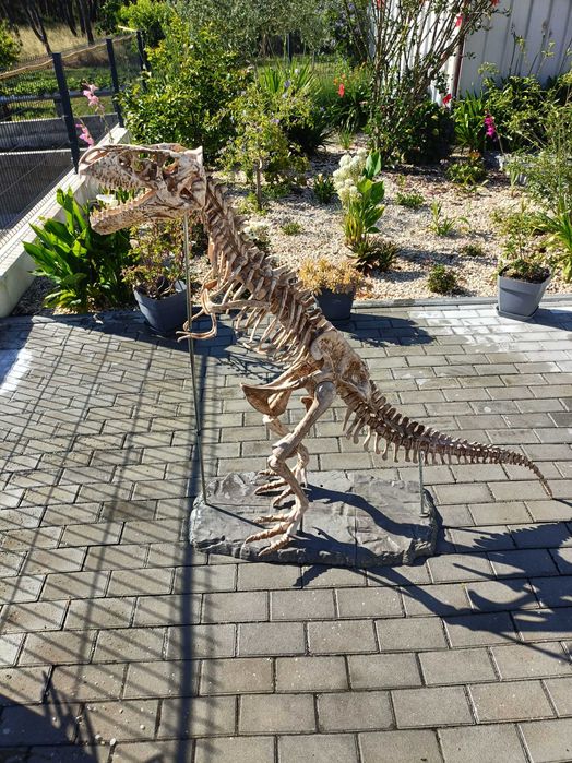 Escoleto de dinossauro