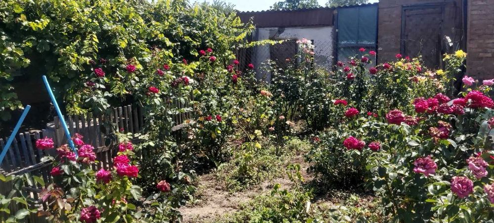 Продам будинок в м. Апостолове