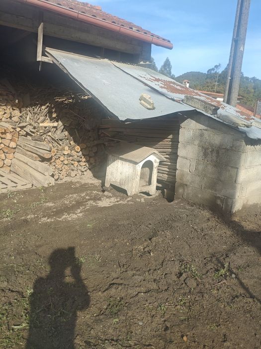 Casota cão em cimento