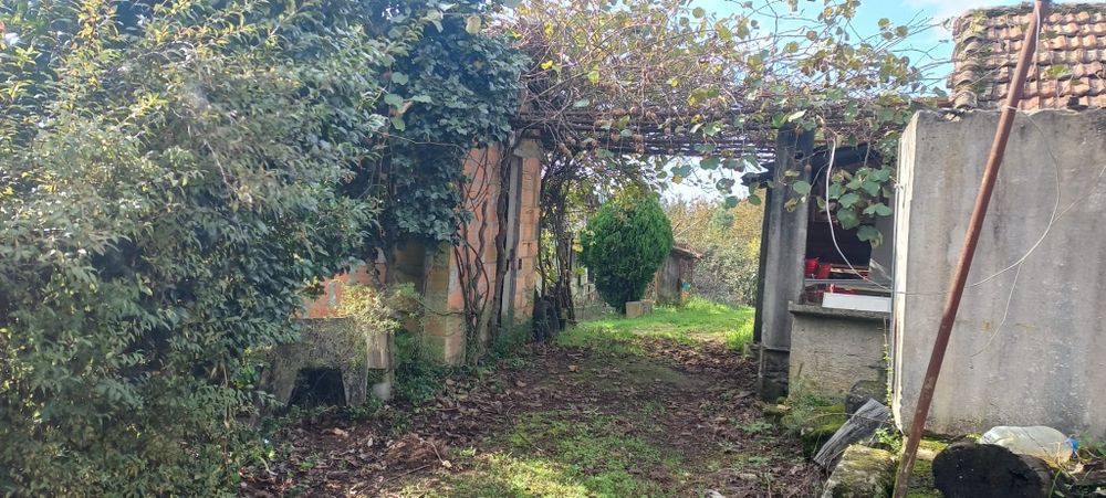 Quinta com casa habitação em Sabugosa-Tondela Tondela