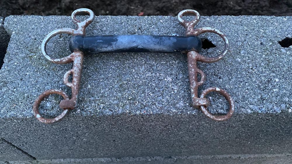 Freios de cavalos equitação