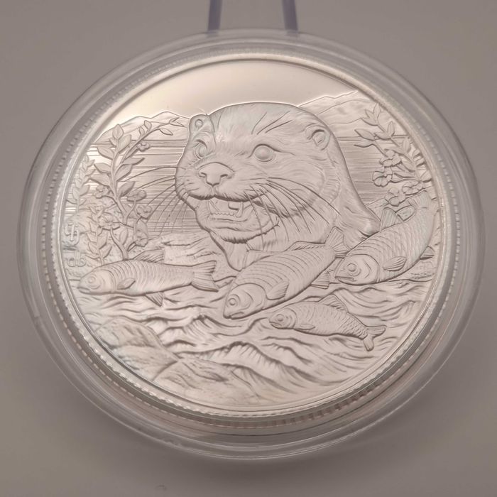 Видра 2024 Камерун 1000 франків / 1 унція срібло Ag 999 Пруф-лайк