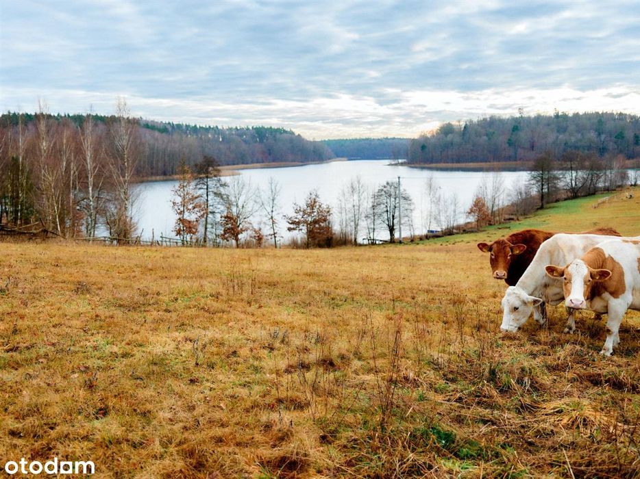 Działka budowlana - Piaseczno