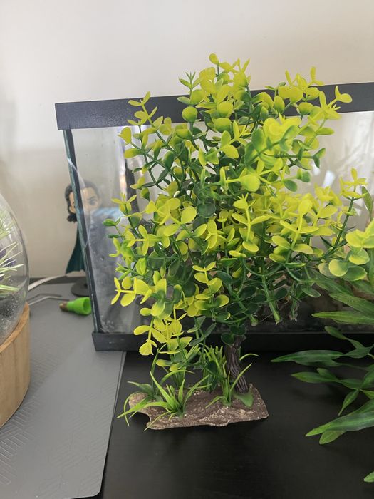 Plantas artificiais para aquario