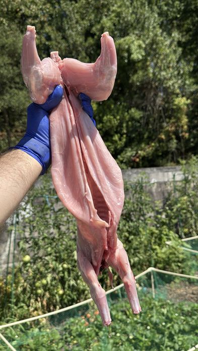 Coelho caseiro pronto a comer
