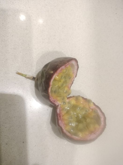 Sementes de Maracujá Roxo