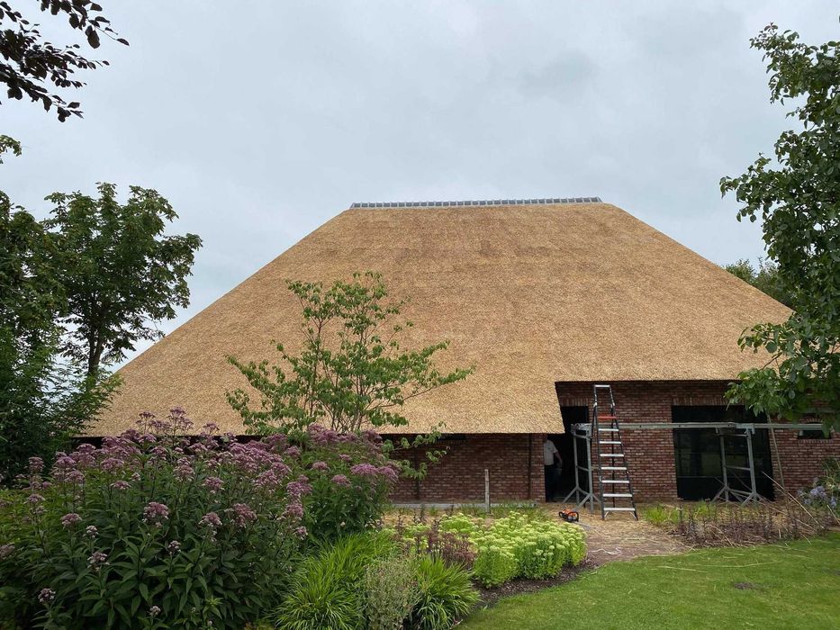 strzecha trzcina dachy trzcinowe