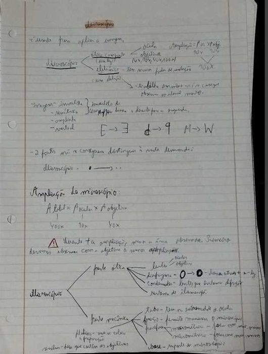 Resumo da matéria de Biologia- Geologia 10º e 11º anos