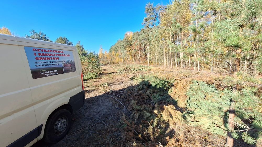 Mulczowanie Powierzchniowe,Wgłębne,Wycinki drzew,Koparka gąsienicową
