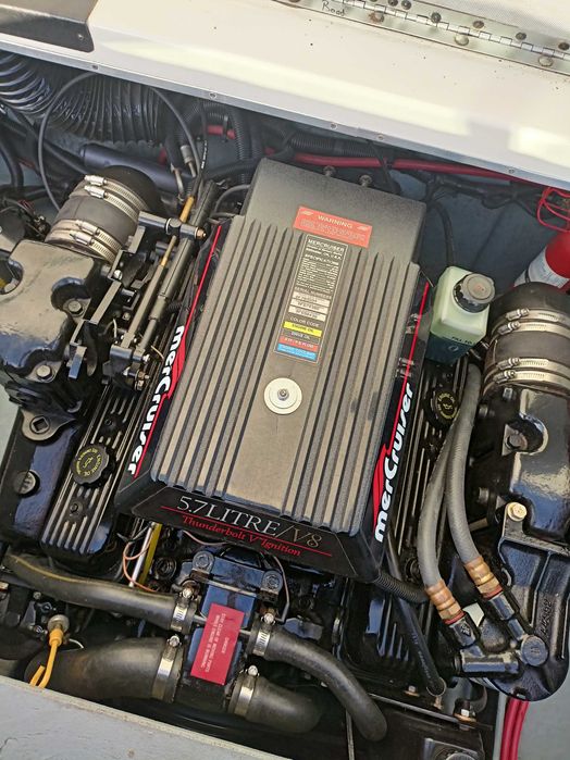 Łódź Sea Ray 190 Signature 5.7 Mercruiser