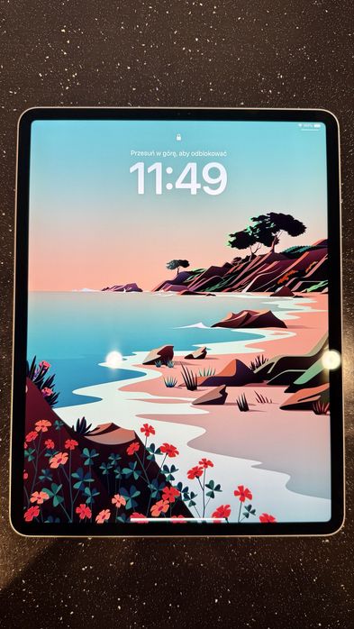 iPad Pro 12.9 4th Gen Wi-Fi + Cellular