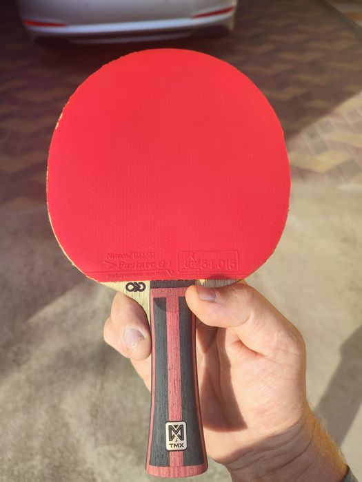 Butterfly sk7 Fan-Zhendong super alc -Peter Korbe Maze offl