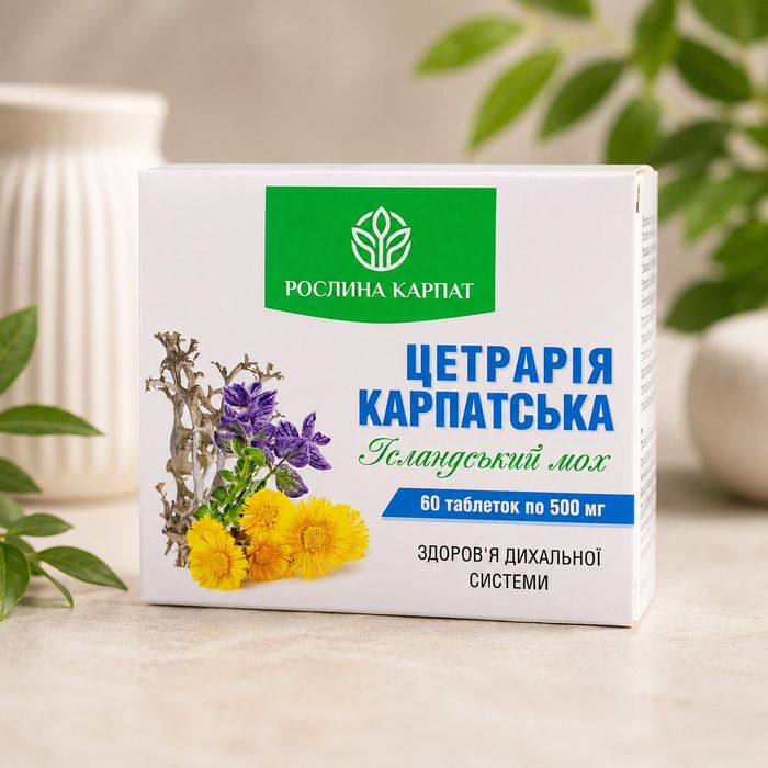 Цетрарія Карпатська від рослини карпат