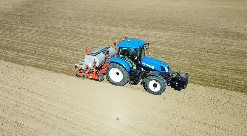 siew burakow kukurydzy rzepaku