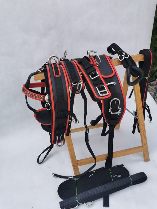 Uprząż pojedynka shetland