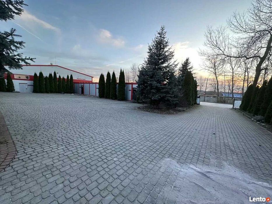 Do wynajęcicia biuro 50m2 ul.Strefowa 5, Machów/Tarnobrzeg