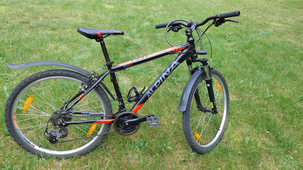 Rower Alpina ECO 20 M