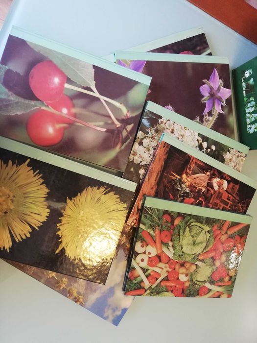 Enciclopédia - As plantas nossas amigas