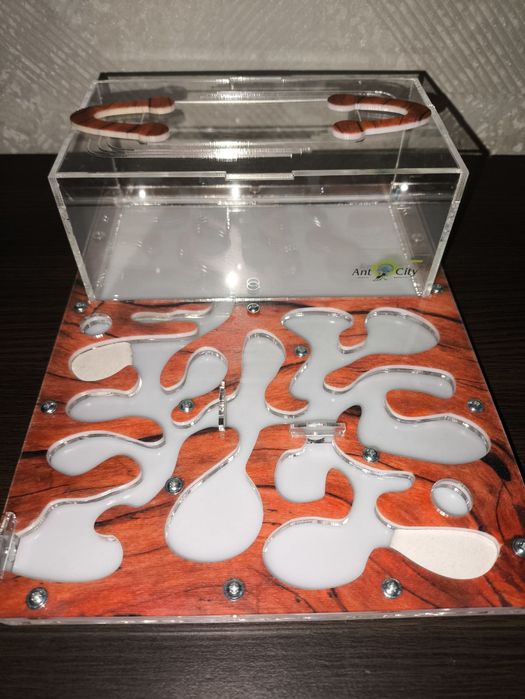 Мурашина ферма Марко Дерево,до 1500