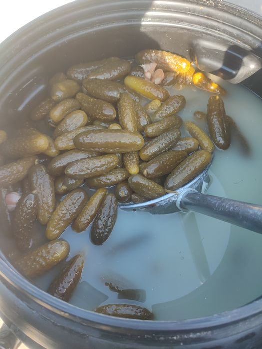 Sprzedam ogórki kiszone