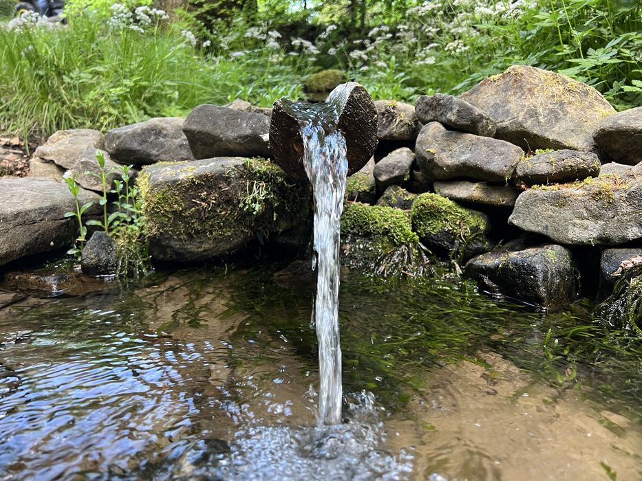 Відпочинок в Карпатах Щербовець, чан, лазня