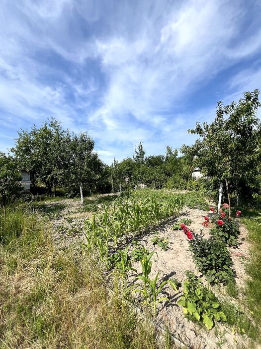 Продаж дачі СТ "Трудівник"