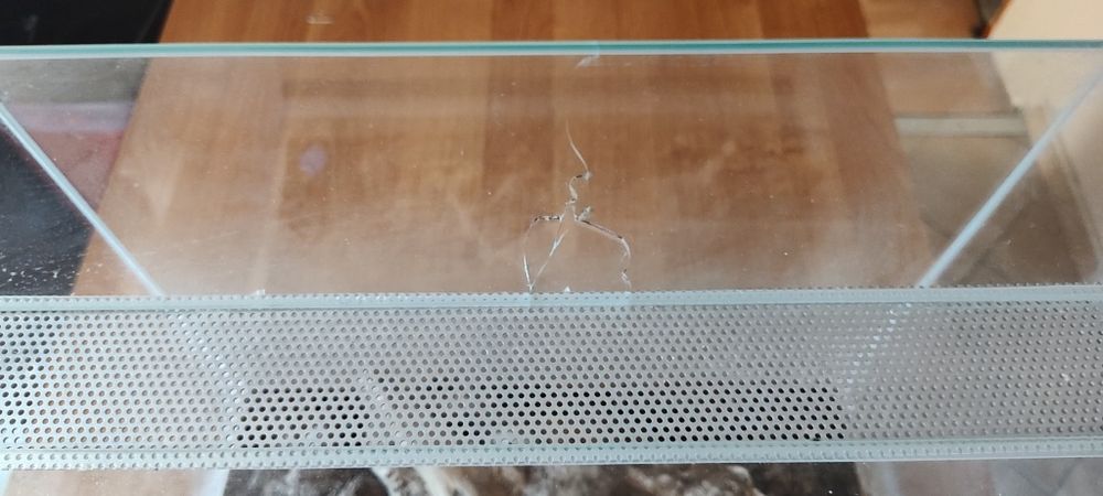 Terrarium po pająku