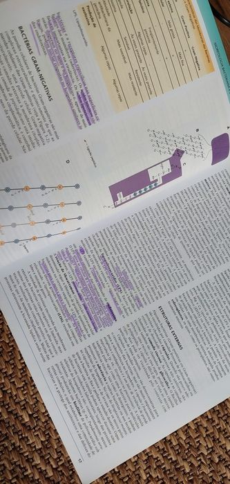 Microbiologia Médica