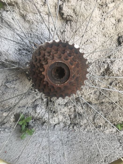 Aros mais pneus de bicicleta.