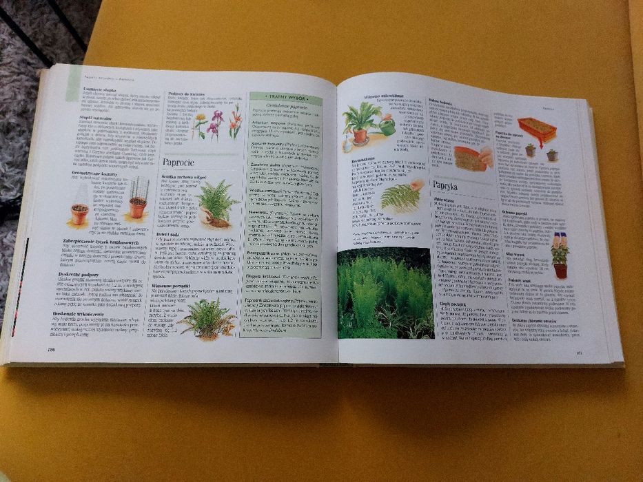 Książka: "1001 sposobów na piękny ogród" – Reader's Digest. Poradnik