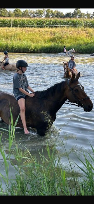 Klacz dla kazdego super pochodzenie