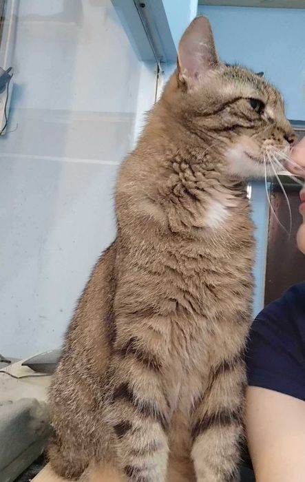 Bruno, słodki chłopak z charakterem