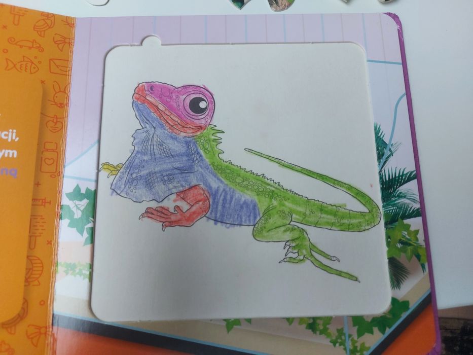 Zwierzaki domowe książka i puzzle kolorowanka