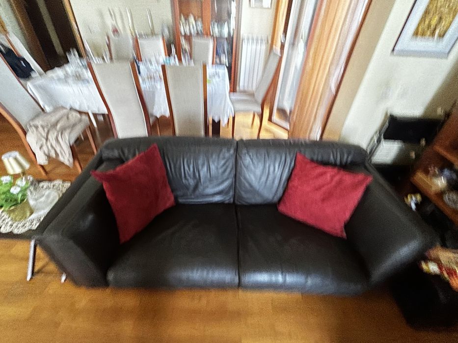 Sofas de pele conjunto