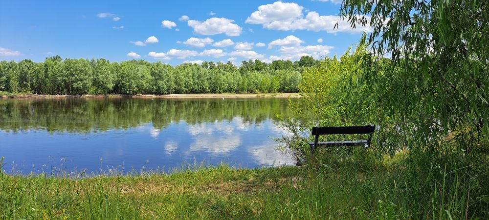 Участок  возле Десны с дачным ввгончиком. Сады Зазимье (дачи).