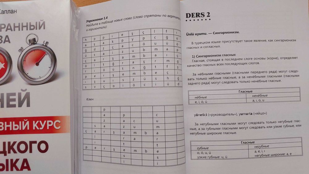 Турецкий язык интенсивный курс за 100 дней для начинающих Каплан А.