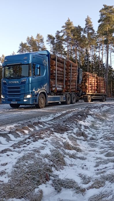Transport drewna sprzedaż i inne